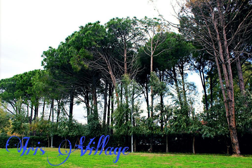 San Sostene Iris Village المظهر الخارجي الصورة